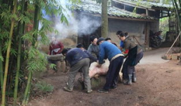 农村杀猪视频,传统习俗与现代生活的碰撞