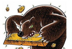 黄金熊,探寻财富与智慧的璀璨之光