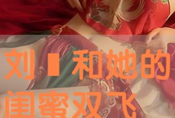 双飞视频,揭秘空中浪漫之旅的精彩瞬间